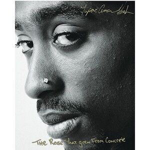 The Rose That Grew from Concrete -- Tupac Shakur